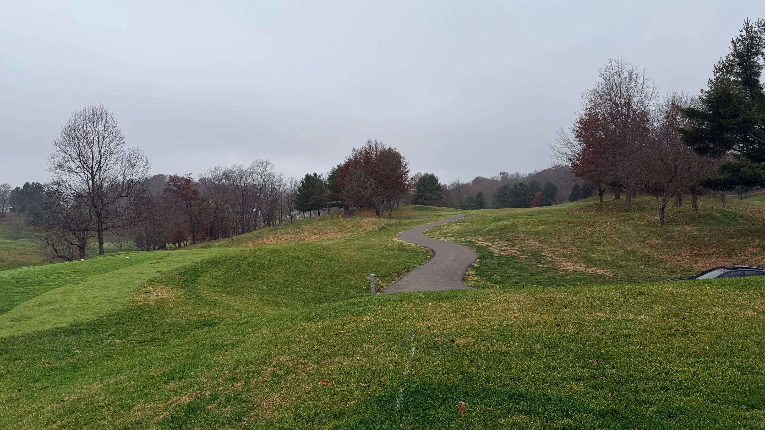 Hole 16 Background