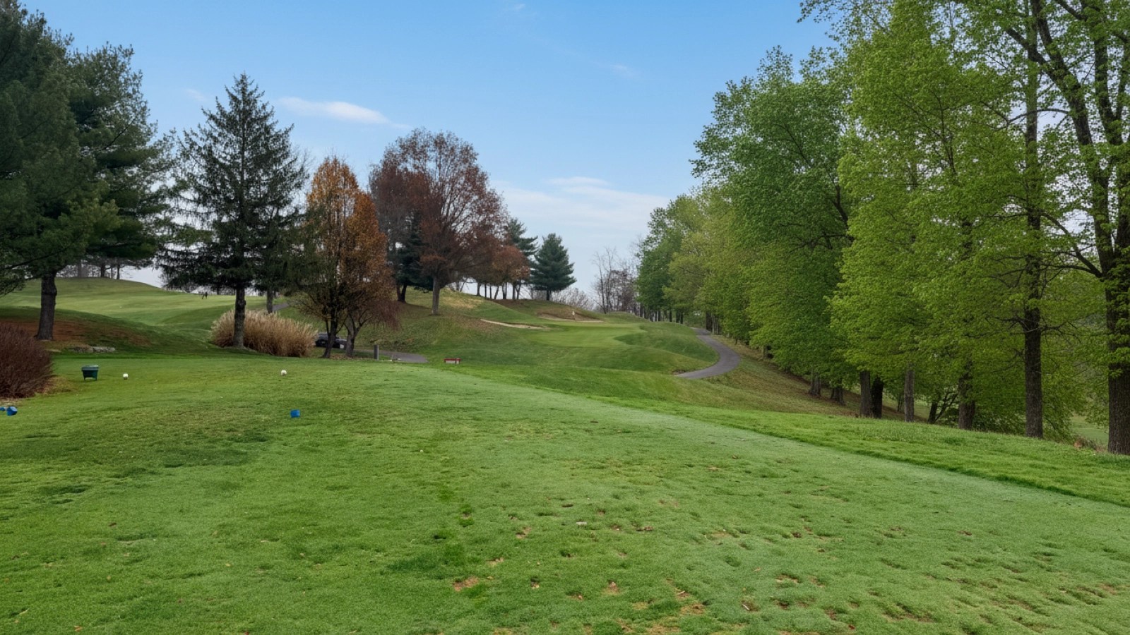 Hole 17 Background