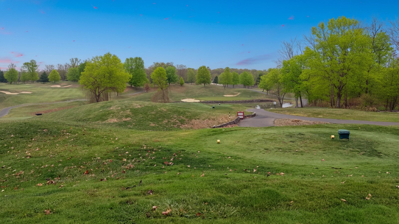 Hole 10 Background