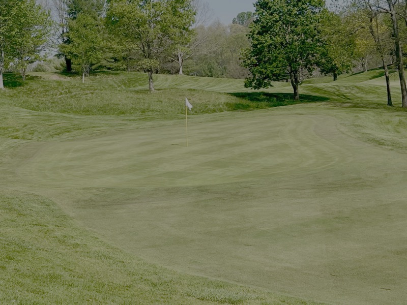 Hole 15 View 1