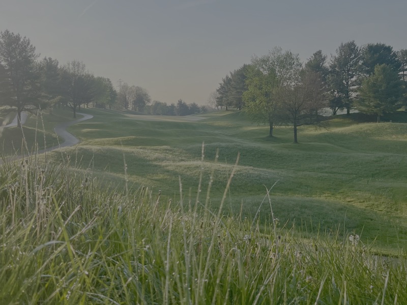 Hole 16 View 2