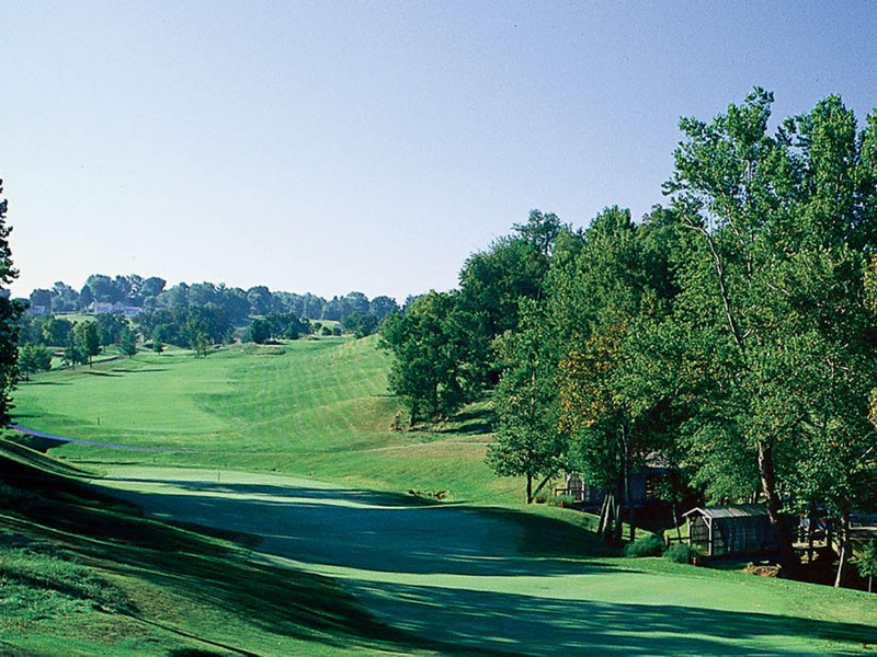 Hole 11 View 2
