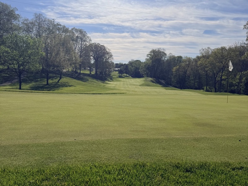 Hole 8 View 3