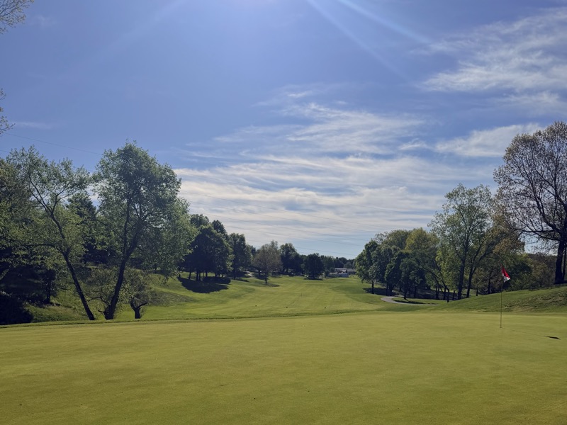 Hole 15 View 2