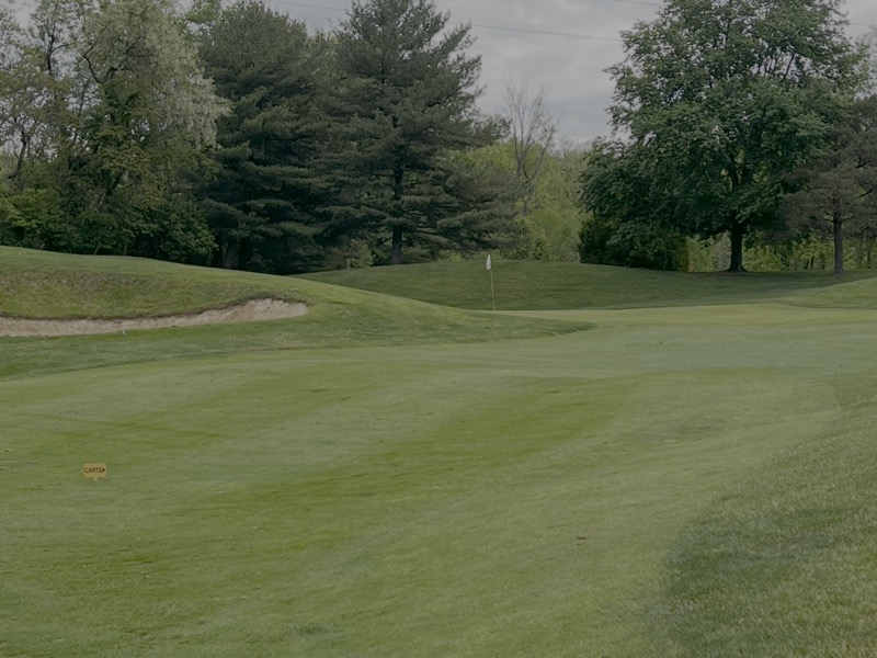 Hole 4 View 2