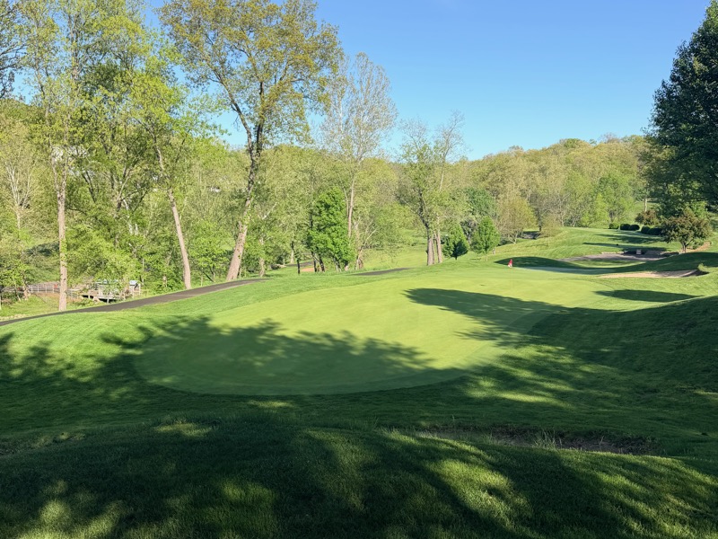 Hole 17 View 2