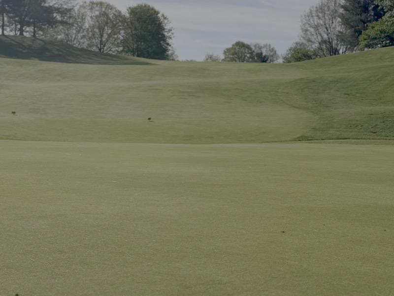 Hole 16 looking-from-the-green-back-up-to-fairway