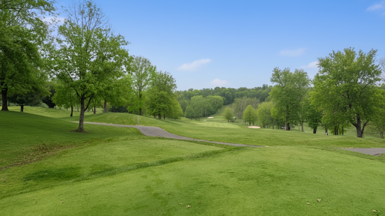 Hole 3 at EagleSticks Golf Club in the summer
