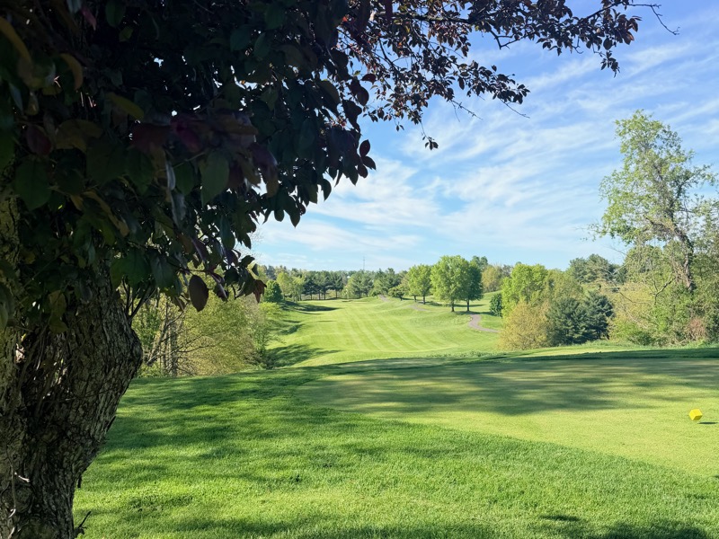 Hole 9 View 1