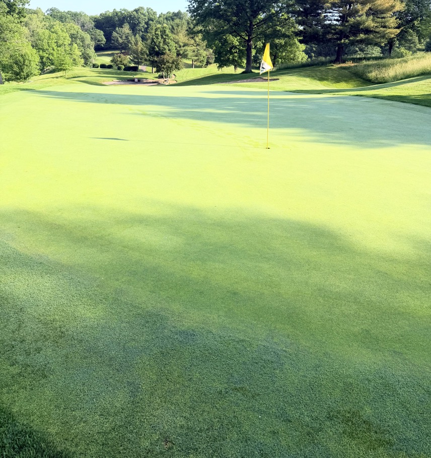 Photograph from behind the green on Hole 17 at EagleSticks Golf Club
