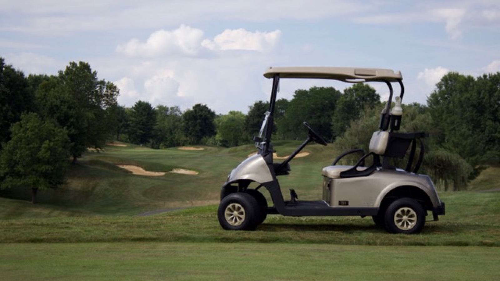 Cart Rental Available at Eaglesticks Golf Club